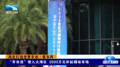 湖北打造世界车谷·看东风 | “车谷造”驶入大湾区 3000万元补贴撬动市场