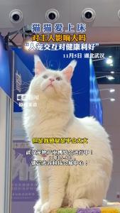 猫猫上床，对主人影响大吗？