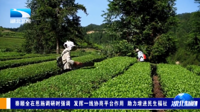 秦顺全在恩施调研时强调 发挥一线协商平台作用 助力增进民生福祉