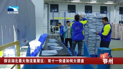 探访湖北最大物流集聚区：双十一快递如何大提速