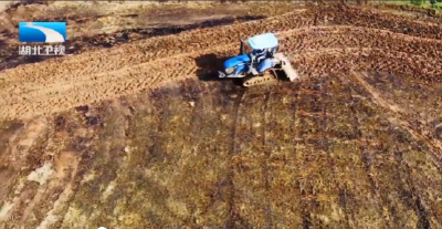 湖北秋播进度近八成