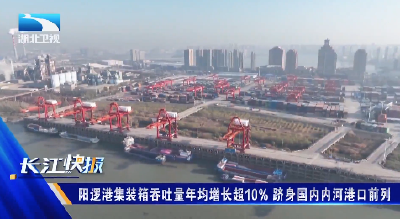 阳逻港集装箱吞吐量年均增长超10% 跻身国内内河港口前列