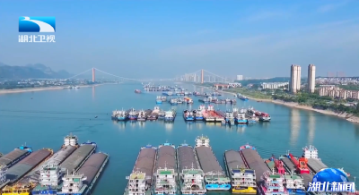 2025年11月15日湖北新闻