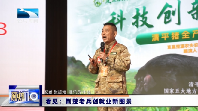 看见：荆楚老兵创就业新图景