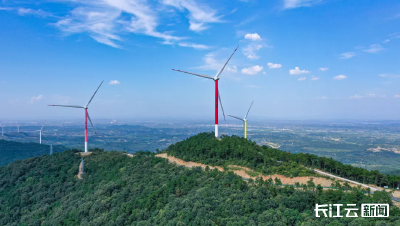 随州府河镇：借势而为 让过境流量变发展增量