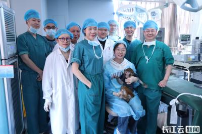 中国首个异种器官移植猕猴存活超过一年