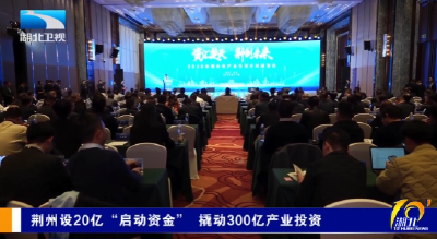 荆州设20亿“启动资金”  撬动300亿产业投资