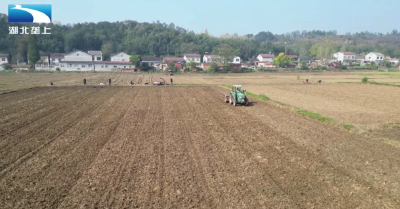 襄阳南漳：争农时播小麦 农机农技双护航