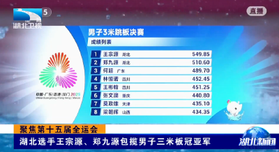 聚焦第十五届全运会 | 湖北选手王宗源、郑九源包揽男子三米板冠亚军