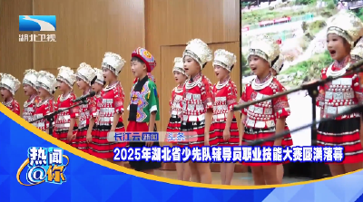 2025年湖北省少先队辅导员职业技能大赛圆满落幕