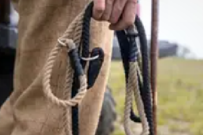 遛狗未拴绳惊倒路人 饲养人全责赔付28万余元！