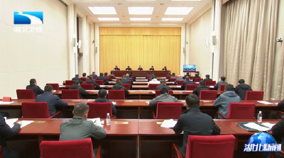 全省巩固拓展脱贫攻坚成果工作视频会议召开 诸葛宇杰出席并讲话