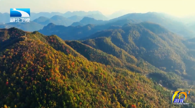 2025年11月11日湖北十分