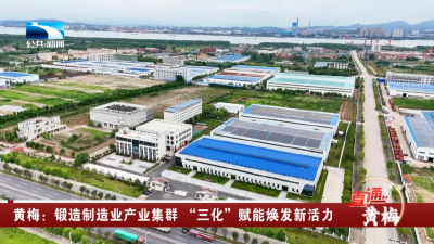 直通黄梅 | 锻造制造业产业集群 “三化”赋能焕发新活力