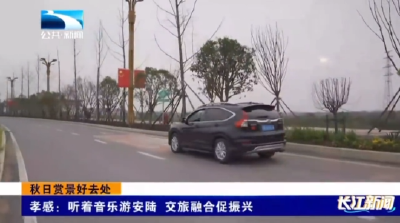 孝感：听着音乐游安陆 交旅融合促振兴