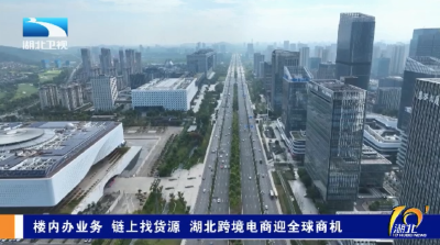 楼内办业务 链上找货源 湖北跨境电商迎全球商机