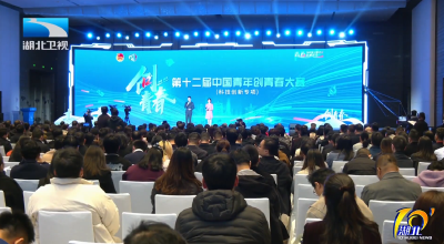 第十二届中国青年创青春大赛（科技创新专项）决赛收官丨湖北为每个落地金奖项目提供100万元意向股权支持