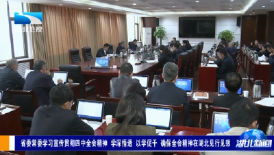 省委常委学习宣传贯彻四中全会精神 学深悟透 以学促干 确保全会精神在湖北见行见效