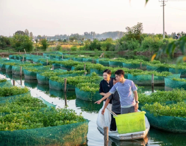 在明星村里做“素人”，是种什么体验？