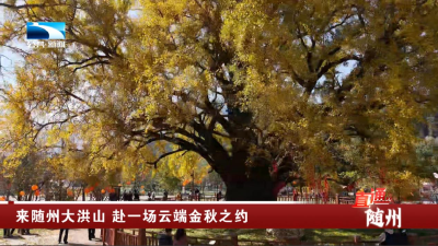 来随州大洪山 赴一场云端金秋之约