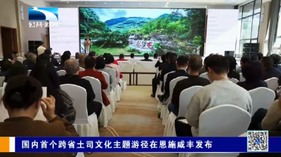 国内首个跨省土司文化主题游径在恩施咸丰发布