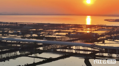 千万造价，只为鸟儿安宁！长江建起首个护鸟声屏障