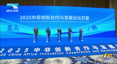 2025中非创新合作与发展论坛在汉开幕 李殿勋出席并致辞