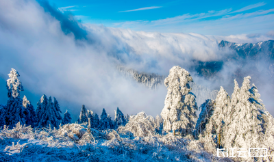 神农架推出2026年超值联票政策 159元畅游六大景区