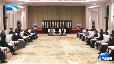 陈平会见香港特区政府驻海外及内地经贸办参访团