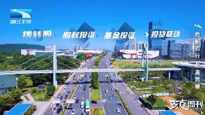 向新而行 向高而攀丨支点观察：好机制 结出科创硕果