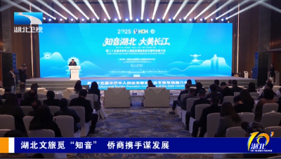 湖北文旅觅“知音” 侨商携手谋发展