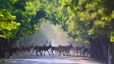 40年，一场跨世纪的重逢