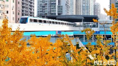 邂逅初冬限定金黄！武汉三阳路地铁站成网红打卡地