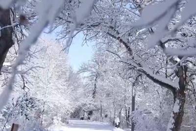 全国速冻地图出炉！本轮寒潮虽猛烈但“来去匆匆”