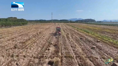 2025年11月3日长江新闻