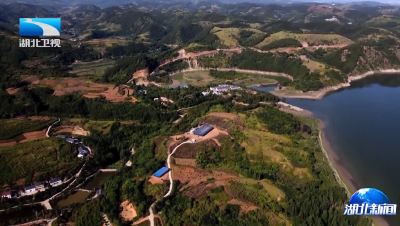 红旗党支部风采丨方寸考古地  党旗映初心