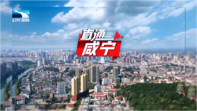 直通咸宁 | 通山柑橘的“突围”之路