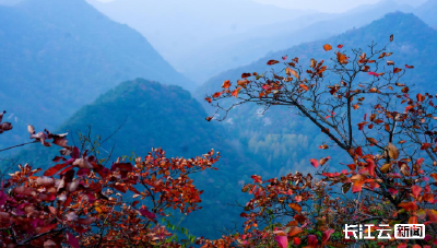 襄阳南漳：秋染五朵山  