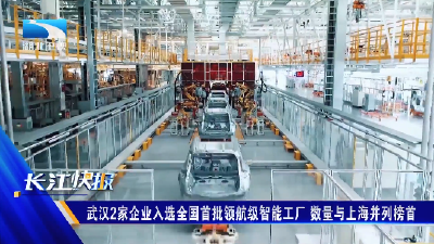 武汉2家企业入选全国首批领航级智能工厂 数量与上海并列榜首