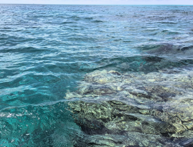 生态环境部发布黄岩岛海域生态环境相关报告