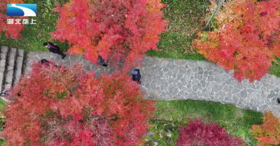 恩施宣恩：红叶映“天眼” 美景引游人