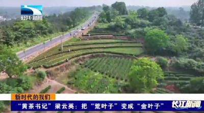 “黄茶书记”梁云英：把“荒叶子”变成“金叶子” 