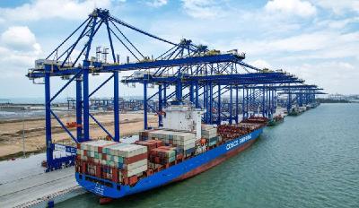 时政微观察丨建设海南自由贸易港，总书记把脉定向