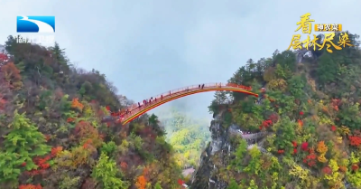 2025年11月16日湖北新闻