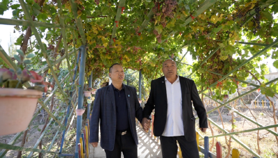 大国小村 | 这个村的“致富搭子”赢麻了