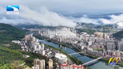 2025年11月12日湖北十分