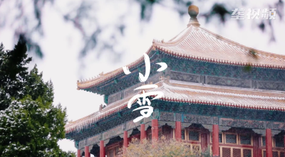 小雪 | 你的城市下雪了吗