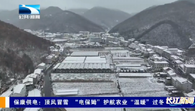保康供电：顶风冒雪 “电保姆”护航农业“温暖”过冬