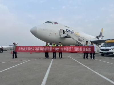 首条！鄂州花湖机场开通直飞英国货运航线