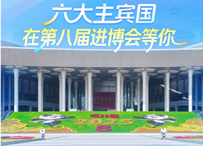 世界在中国相遇 六大主宾国秀出进博开幕“新名片”